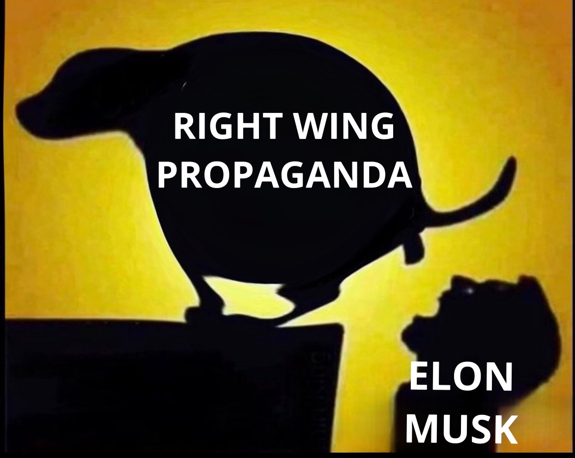 TheGr8Illusion's tweet photo. yes, all racist, sexist, greedy, lying, fascist Elon Musk does is spread conservative fascist propaganda with hate, lies, fear, and violence to support a convicted sex offender, liar, election and financial fraudster, and felon Donald tRump who is the worst and most destructive/deadliest president ever while brainwashing a bunch of stupid idiot uneducated gullible morons