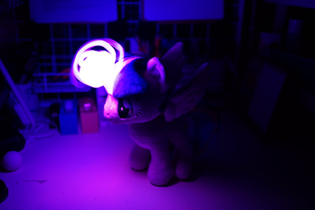 양말 / SheepPony tweet media