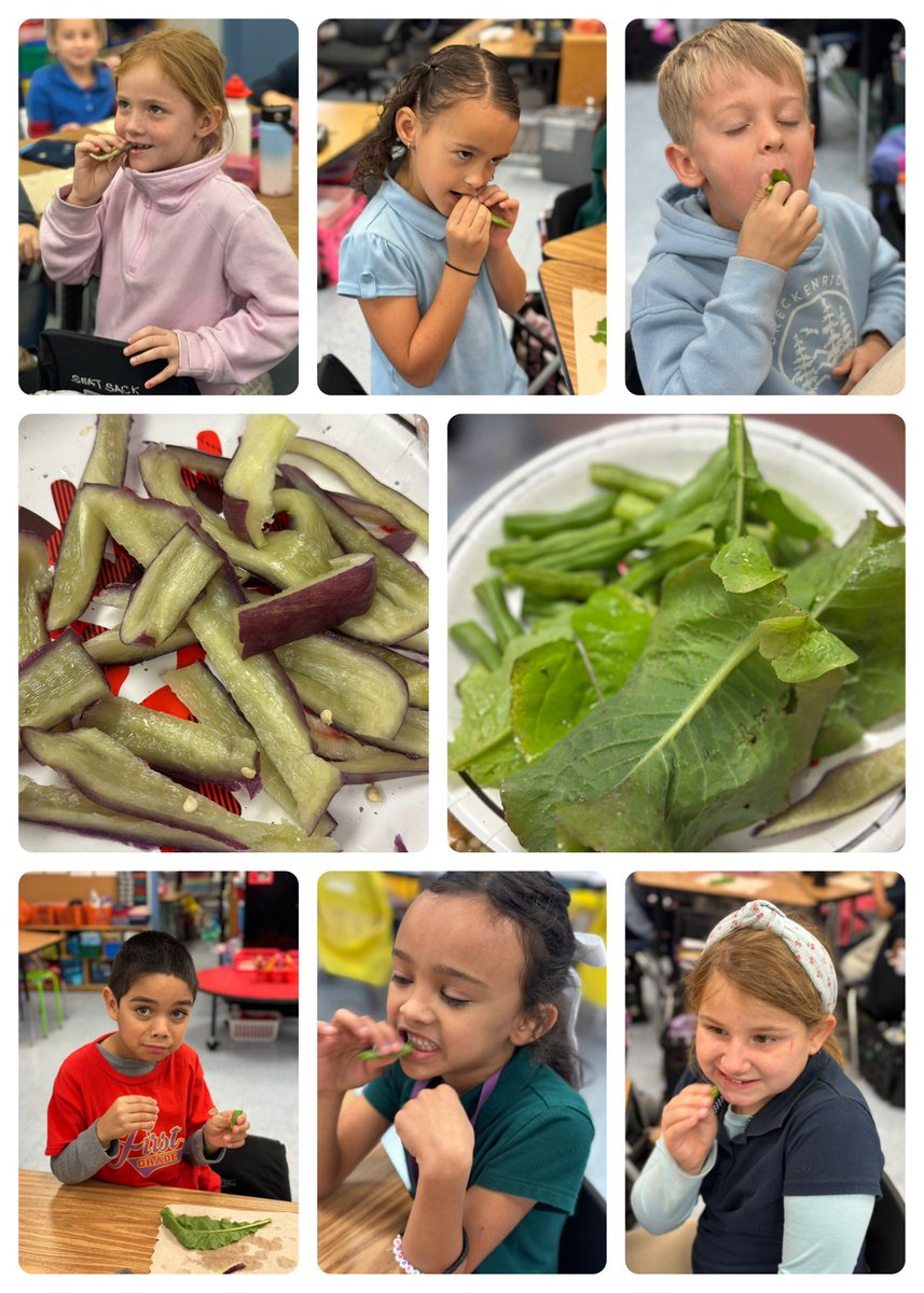Have you ever tried a purple pepper before? Our students did… check out these cute pictures. <a href="/collierschools/">Collier County Public Schools</a> <a href="/Champs4Learning/">ChampionsForLearning</a>