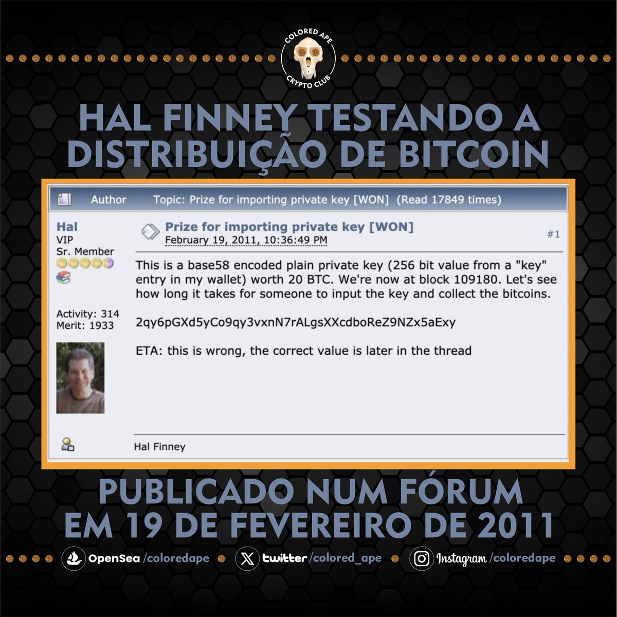 Colored Ape 🦍 tweet media