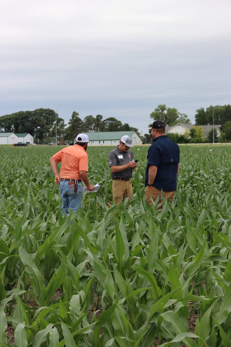 🌾Making an Impact🌾
UNL-TAPS has helped hundreds refine ag skills, make data-driven decisions, &amp; gain hands-on experience risk-free.
Join us Jan. 25 to celebrate at the 2024 TAPS Awards Banquet!
RSVP by Jan. 17: go.unl.edu/zpok