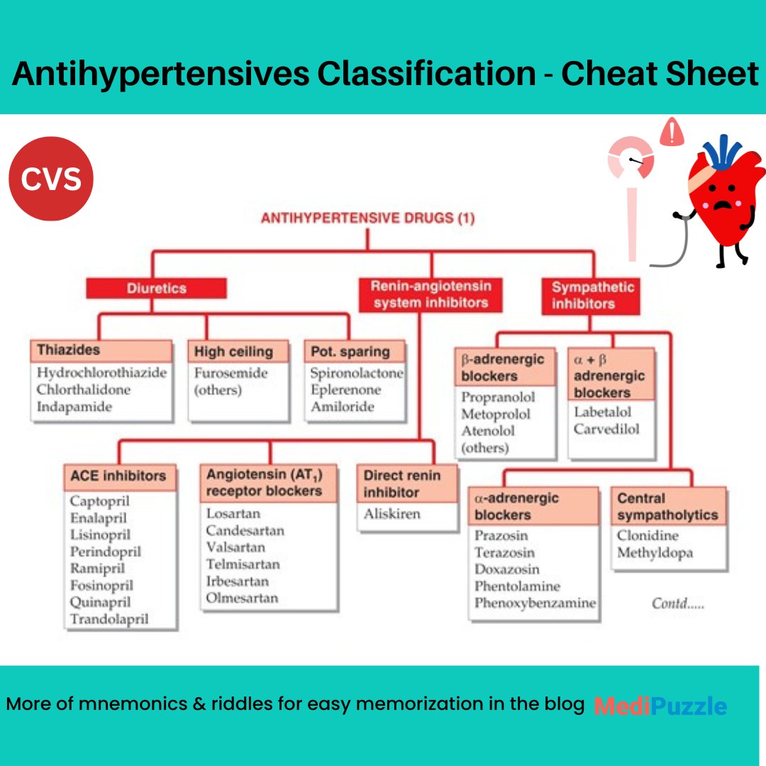 Time for #Antihypertensive  Drugs (1), hope it helps...
Learn pharmacology while playing games at medipuzzle.com

#medicine #pharmacology #drugstwt #pharmacist #doctor #nurse #MedEd #match2025 #USMLE #MedX #MedTwitter #Dentist #Medical