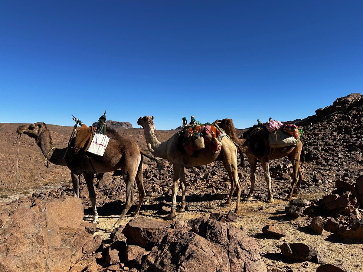 Our #solarpanels fueled Italian explorer Fabrizio Rovella's recent trek through the Algerian #Hoggar. He relied on the #cleanenergy of our panels to stay connected, document his journey, and navigate safely. Even the camels seemed impressed! 🐪☀️