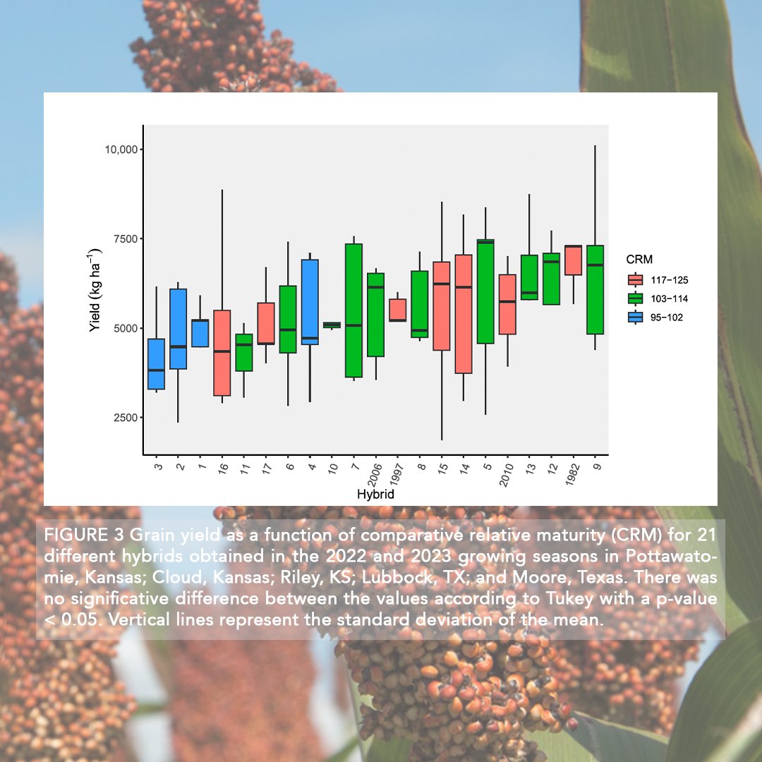 #ArticleAlert🚨
This research shows that sorghum hybrids with fewer leaves can maintain yield, aiding breeders in developing efficient varieties. Farmers can think on including sorghum in a double cropped system
Read paper: bit.ly/40bmcx