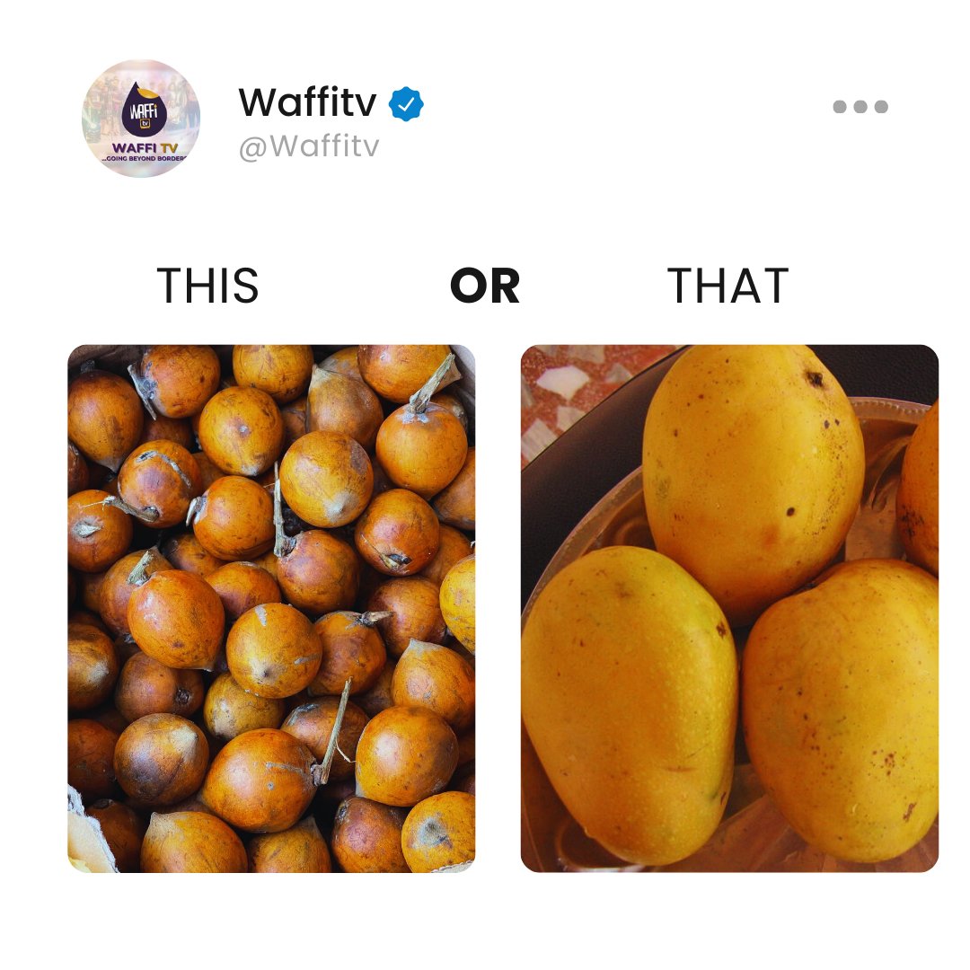 This or That: Which one you choose? 
Drop your choice in the comments!

#thisorthat #UNILAG2024Convocation #Agege #SanwoOlu #After30 #Emefiele #MayD #Obasa  #Busayo #merino