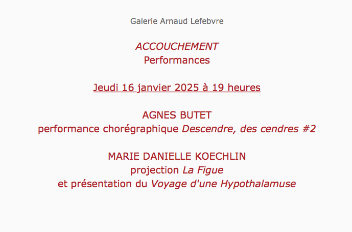 Agnès  Butet, Performance chorégraphique "Descendre, des cendres #2" et Marie  Danielle Koechlin, projection du film "La Figue" et présentation du  "Voyage d'une Hypothalamuse".
#lesgaleriesdart #pgmap #CPGA #jeudidesbeauxarts #ParisGalleryMap #lesgaleriesdart
