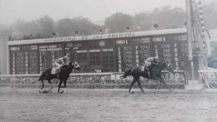 HORSERACING1002's tweet photo. YAXA 🇲🇽1972
(SAYIL - BABILONIA BY FERNELEY II)#Yaxa https://t.co/Ij4bGVWttX
