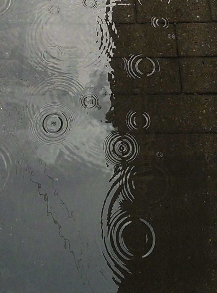 gIoomyweather's tweet image. raindrops.