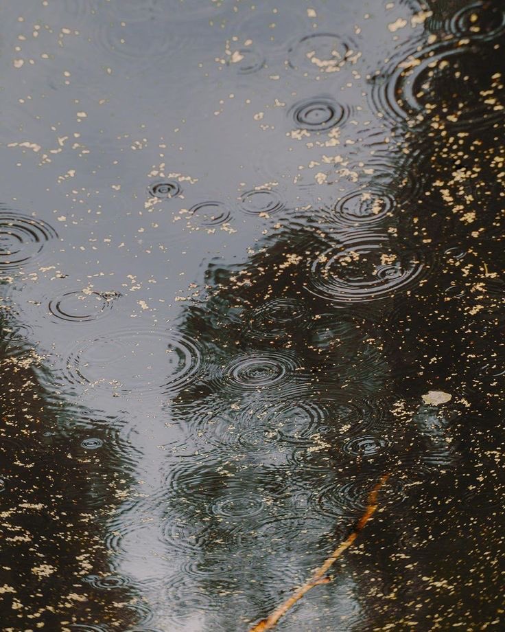 gIoomyweather's tweet image. raindrops.