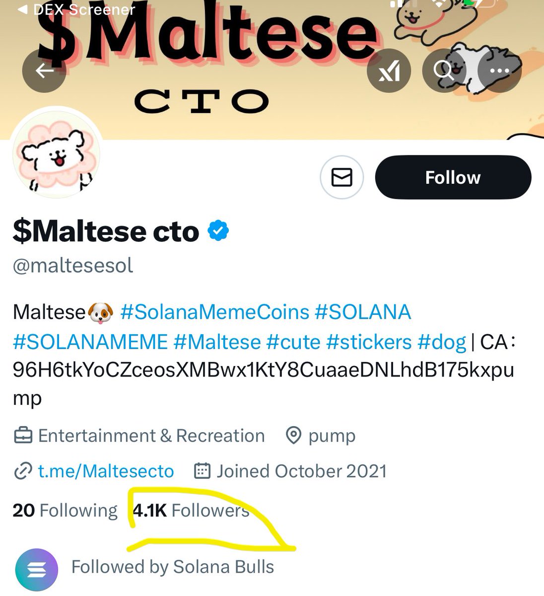Memer tweet media