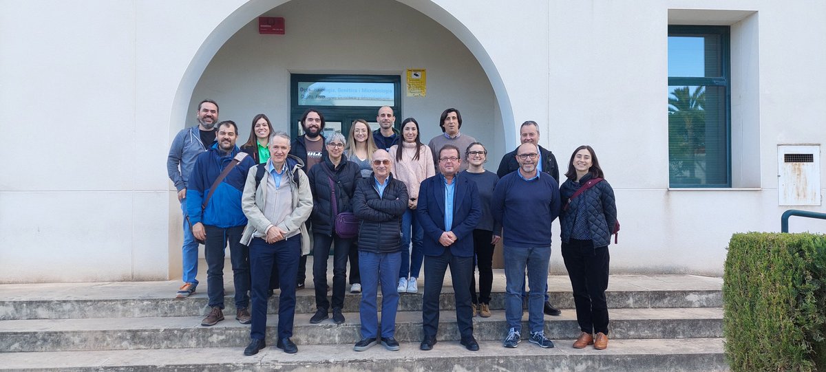 La UA participa en un proyecto para aplicar la tecnología #CRISPR-Cas.
Permitirán mejorar cultivos estratégicos, como el tomate valenciano y los cítricos, para hacerlos más resistentes a la sequía y otras condiciones adversas... 
s.ua.es/es/K0nn
#RetoIvaceInnova #FEDER