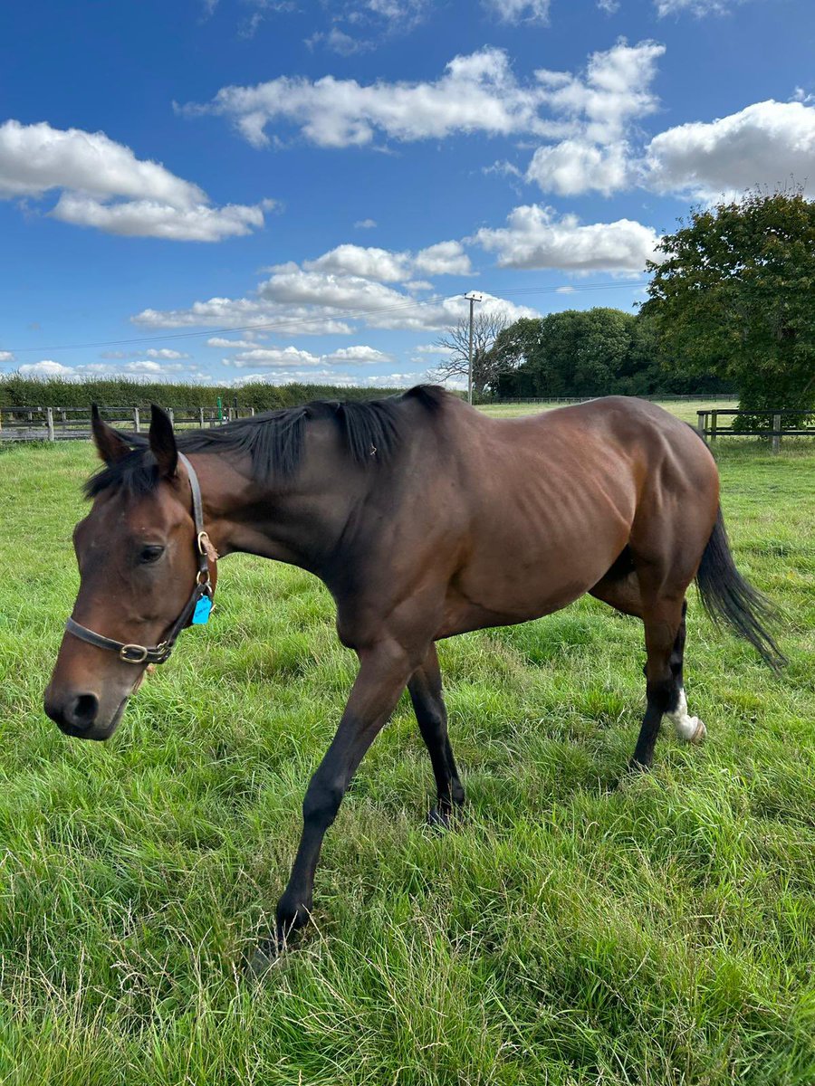 Jack Jones Racing tweet media