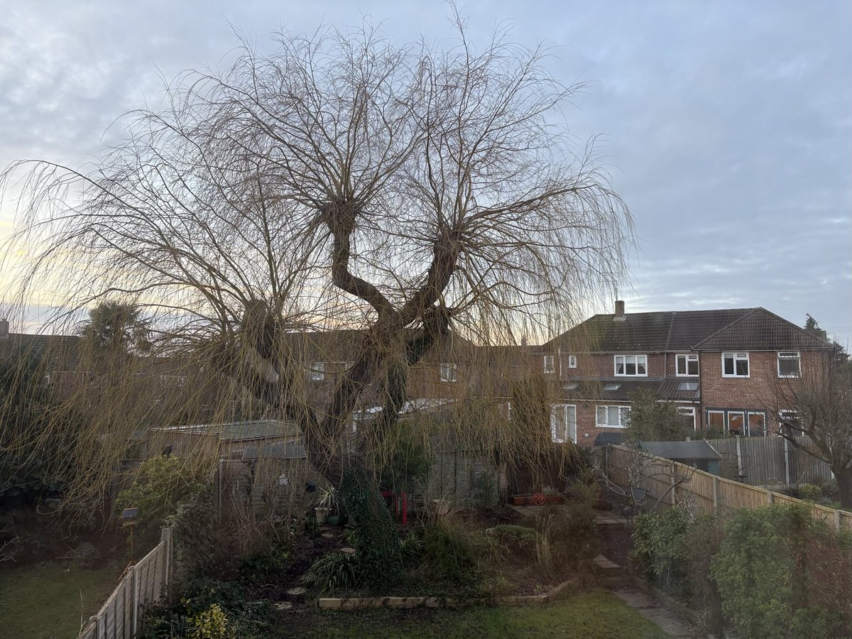 Andrew Sutherland tweet media