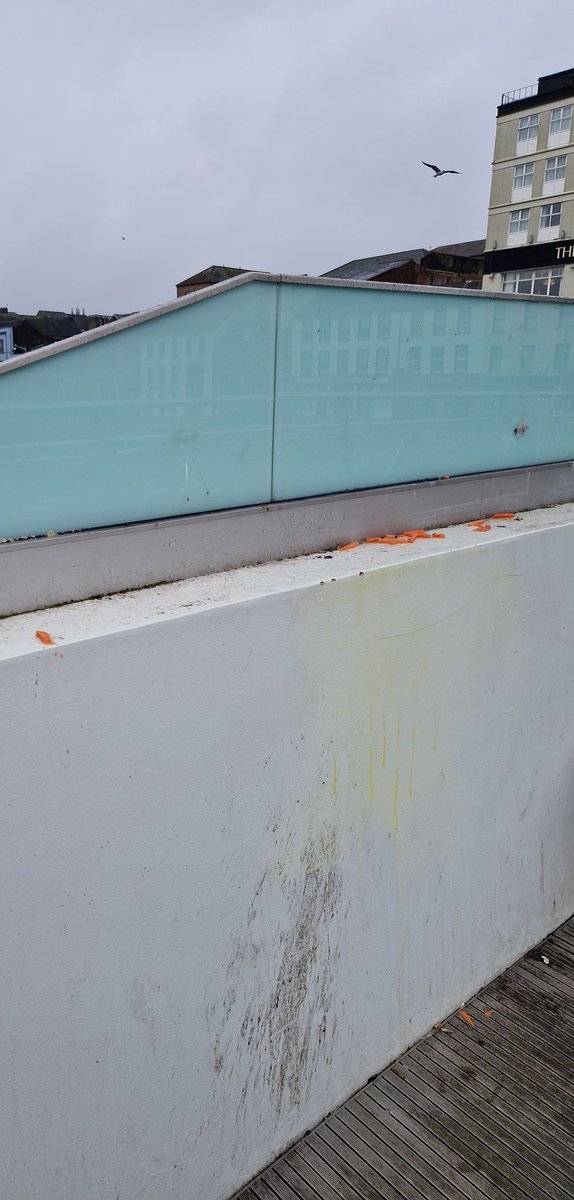 Dublin might have the famous Drumcondra tomato bridge. However, Cork won't be out done with its carrot bridge!