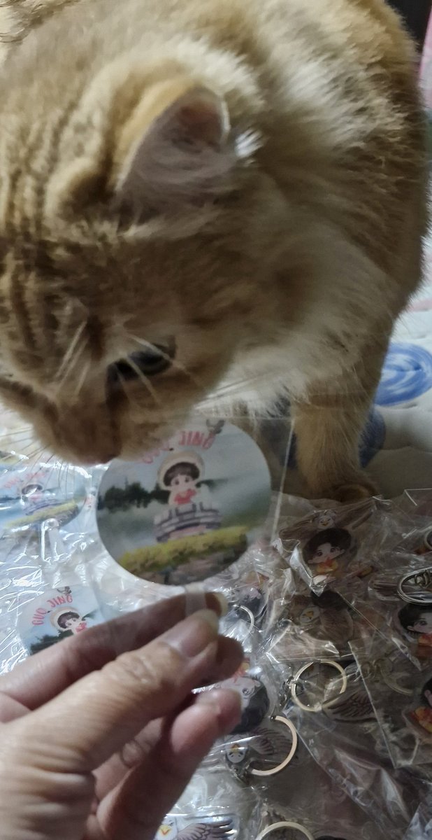 Fariza_XZYB's tweet photo. ยังไม่รู้หนังเข้าวันไหน แต่ gw ฟามารอแล้วอ่ะ 😁
ปล.หน่วยพิสูจน์หลักฐานชิมพัดจิ๋วของฟาไปแล้ว 🤣🤣
#Givefromfar https://t.co/fsSG2D9TOc