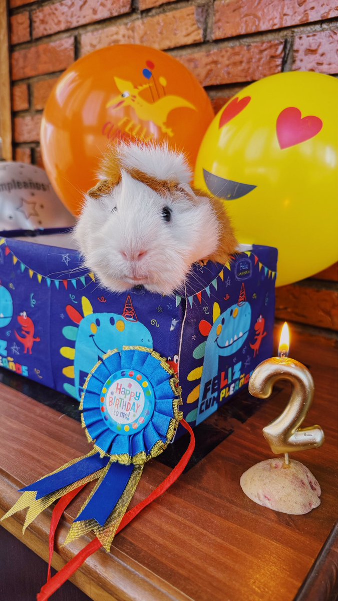 balina13's tweet image. 🥳Happy birthday🎂 to these cuties  #dumbo #suneo