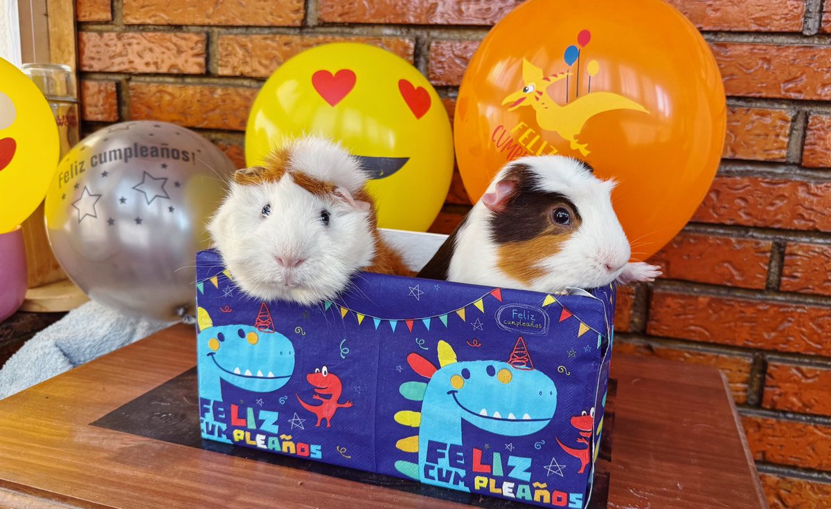 balina13's tweet image. 🥳Happy birthday🎂 to these cuties  #dumbo #suneo