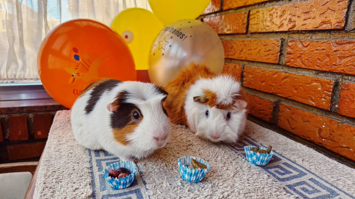 balina13's tweet image. 🥳Happy birthday🎂 to these cuties  #dumbo #suneo