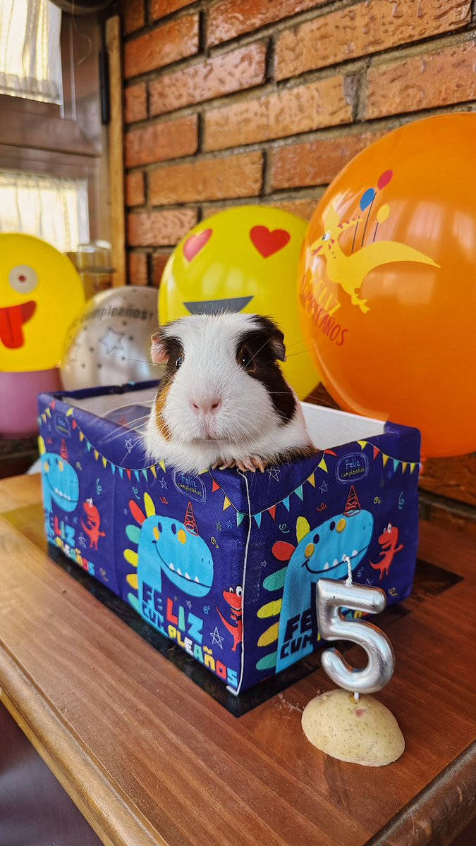 balina13's tweet image. 🥳Happy birthday🎂 to these cuties  #dumbo #suneo