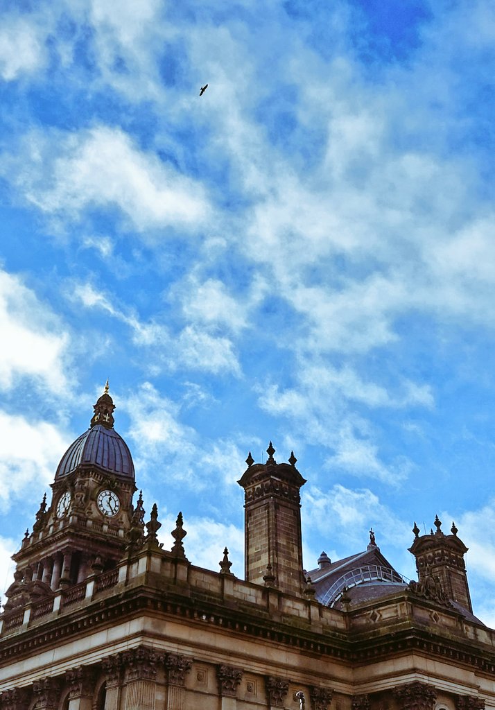 No a brilliant picture, but you don't often see Kites flying over <a href="/LeedsTownHall/">Leeds Town Hall</a>