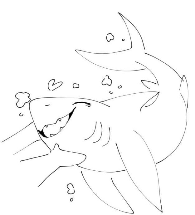 Quick doodle i like drawing my favourite animal shark-