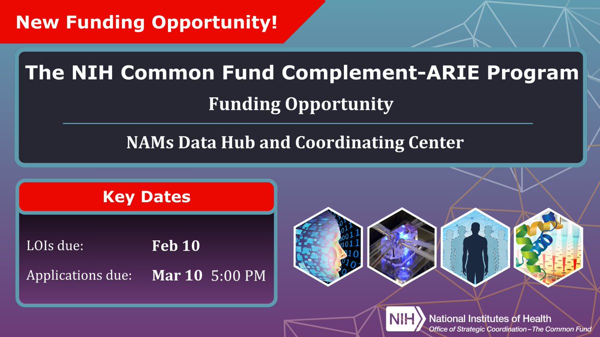 NIH_CommonFund's tweet image. Two months left to submit your #ComplementARIE #FundingOpportunity applications! Check out the #FundingOpp to see how you can be at the center of #NAMs research: go.nih.gov/3MBEmGy