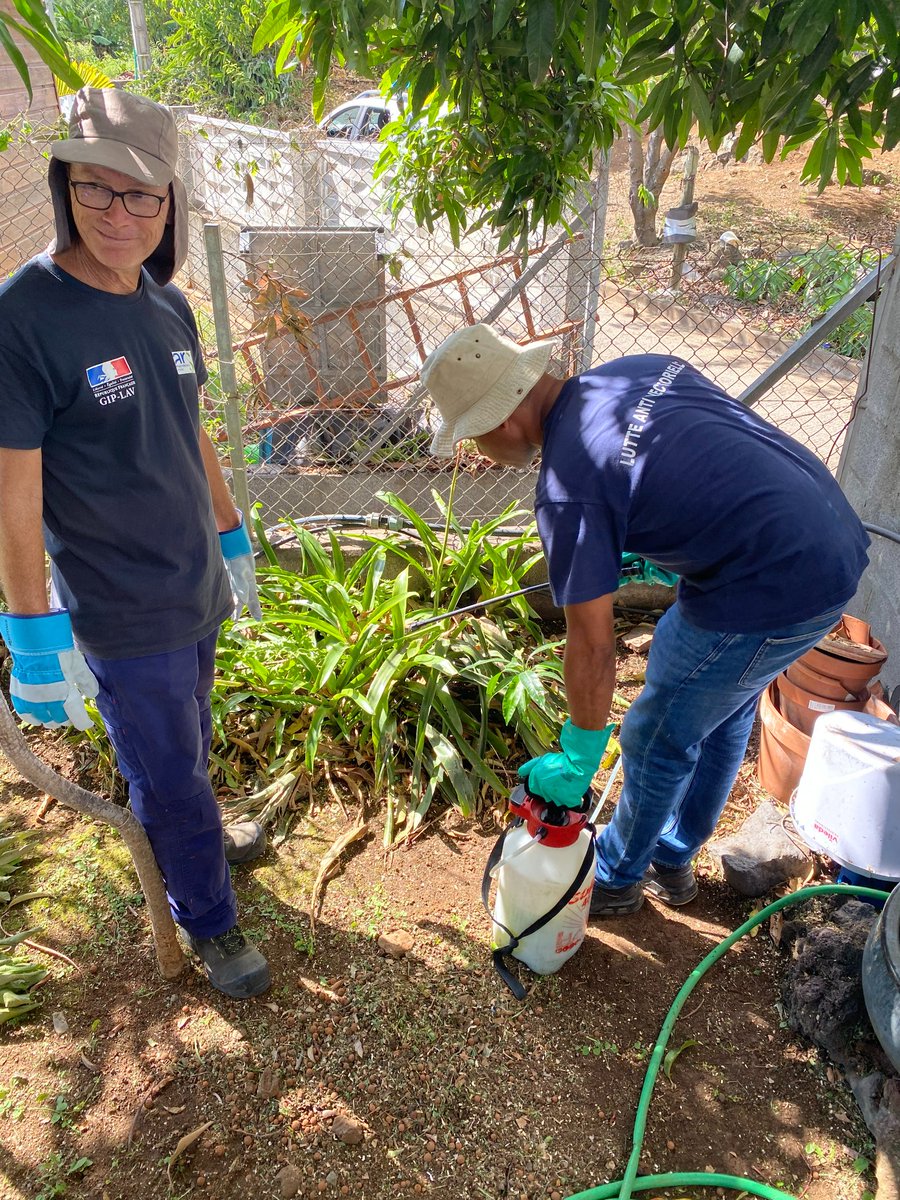 ARS La Réunion tweet media