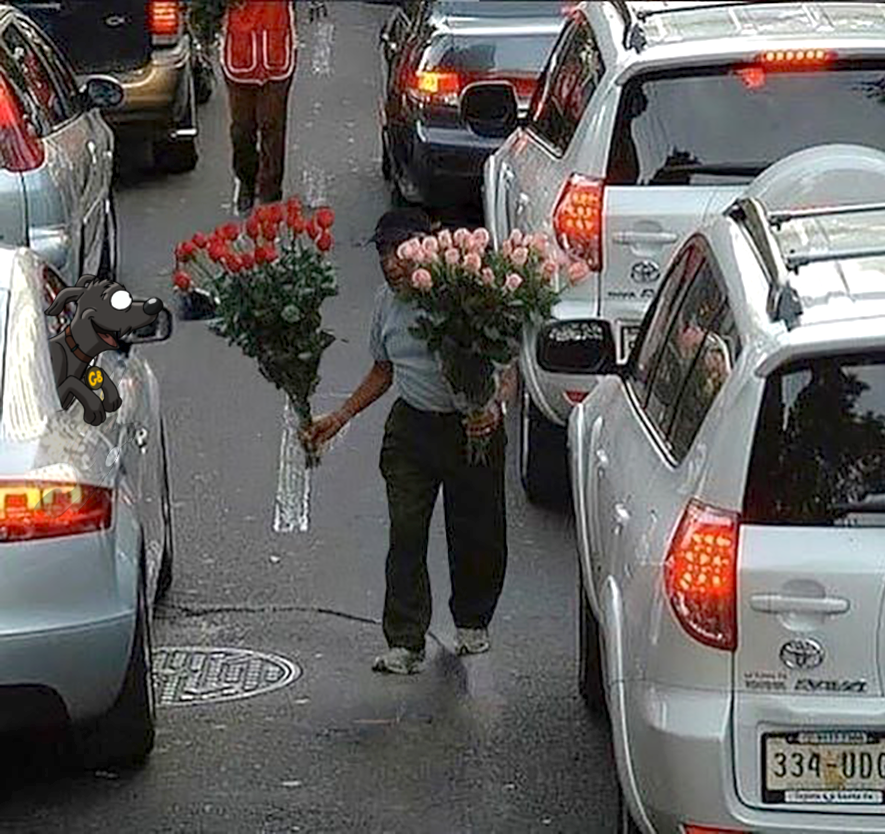 Roses are red, markets are green. Good vibes only