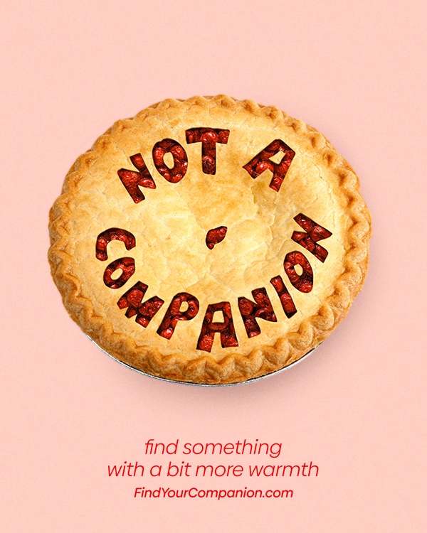letterboxd's tweet photo. Find something with a bit more life.
#CompanionMovie – only in theaters January 31.
Can you guess all the film inspirations? #NotACompanion https://t.co/VjGWbjbyes