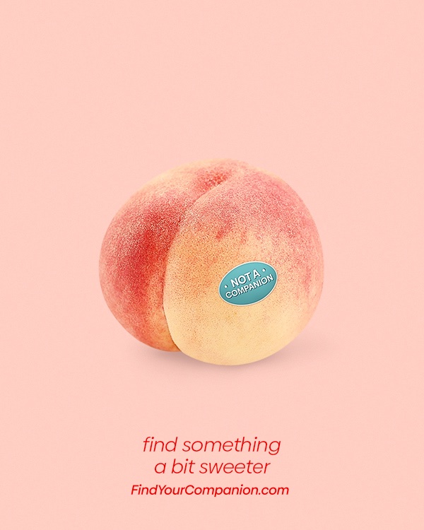 Creatieve Companion posters