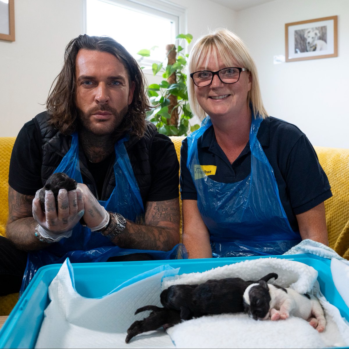 Who’s tuning into Pete Wicks: For Dogs Sake later? 🐕

This week you’ll see Pete meet the Potato Pups who arrived at <a href="/DT_Leeds/">Dogs Trust Leeds</a> in a crisp box without their mum and needed hand-rearing 💛

Catch it on U&amp;W at 9pm or stream all episodes at u.co.uk

©UKTV/Sam Taylor