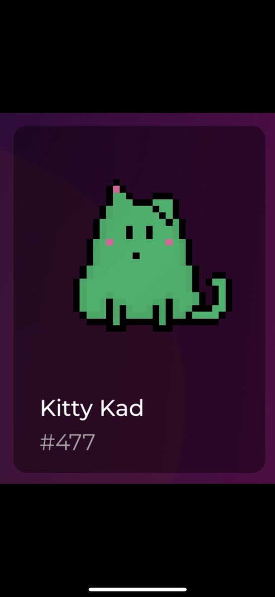 Happy about all my <a href="/KittyKadToken/">$KittyKad</a> I‘m still hodling forever 😻