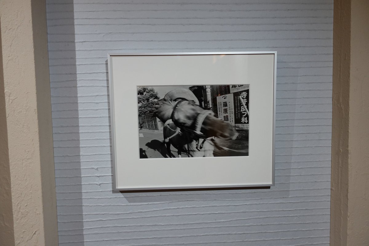 hyperneko_X's tweet image. 芥 Aquta、展示の阿部淳「1983 + early works」（1/10金〜1/26(日)  12〜19時（水木 休み）がボリュームたっぷりで良いですよ。マジで80年代日本の路上スナップは豊かな戦場だったと知る。写真行為それ自体に意味があった。作者の意図と技術を超えたものを呼び込む行為。現代美術でもそうやんね。