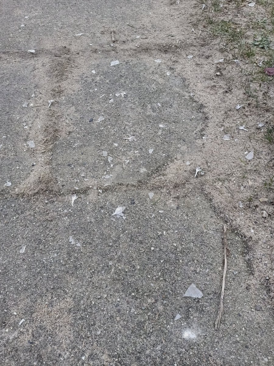 #twitterrudel seht euch dass an... bin da fast rein getreten. Sogar in der nähe von einem Spielplatz! Manche Menschen sind so doof 🤬. Gut dass Frauchen das meiste aufgesammelt hatt.