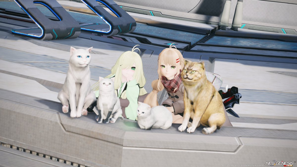 Pantaroh_pso2's tweet photo. #PSO2NGS_SS #メンテの日じゃ無いけどssを貼る 
期間限定とのことだったので、例の猫ちゃん一家と撮影してきました！そしてついでにカフェエリアでｶﾝﾊﾟｰｲ！！☕️　撮影、捜索協力してくれてありがとう！ https://t.co/CSDxkpDUnc