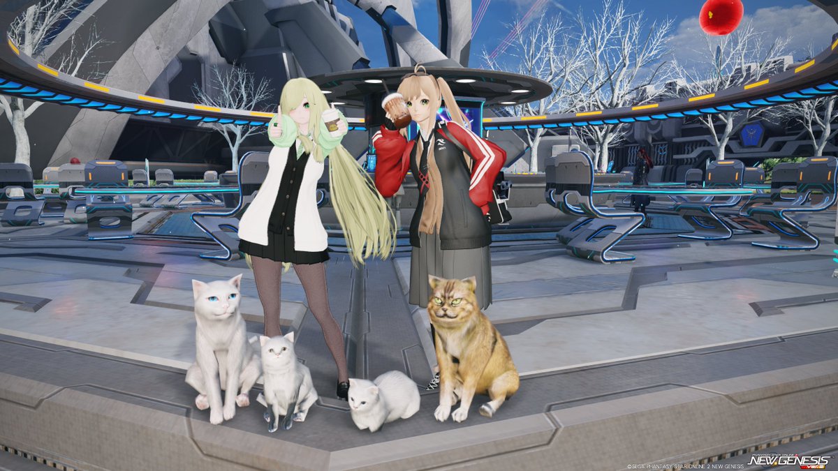Pantaroh_pso2's tweet photo. #PSO2NGS_SS #メンテの日じゃ無いけどssを貼る 
期間限定とのことだったので、例の猫ちゃん一家と撮影してきました！そしてついでにカフェエリアでｶﾝﾊﾟｰｲ！！☕️　撮影、捜索協力してくれてありがとう！ https://t.co/CSDxkpDUnc