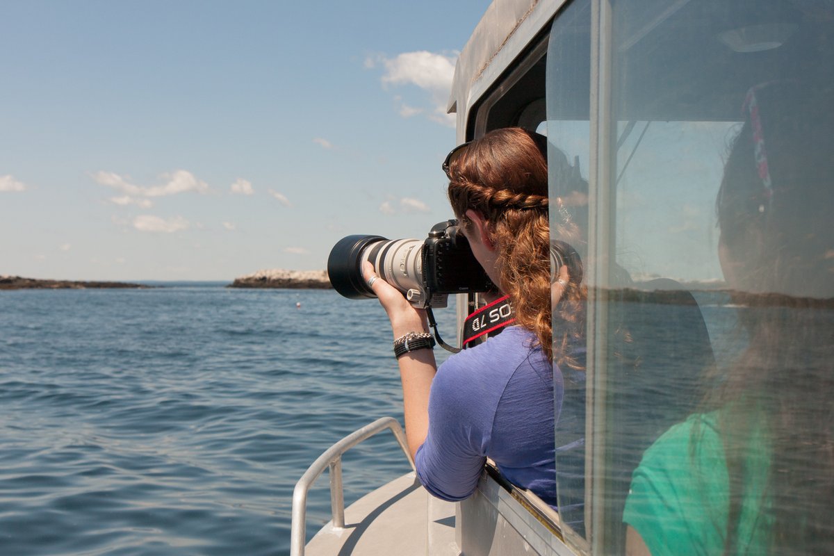 Shoals is still accepting applications for our 10-week Undergrad Research Internships! Fun and meaningful research topics to choose from. Stipend and room and board included. Find out more here.
