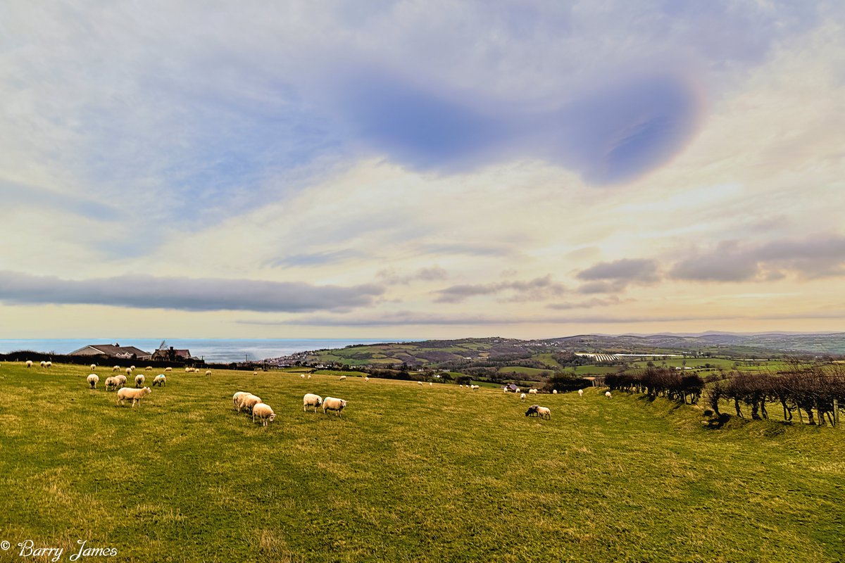 BJRoberts's tweet photo. Today's North Wales north-east coastline view, from a vantage point above Llanelian village on the Bryn-y-Maen road. @Ruth_ITV @NWalesSocial @northwaleslive @OurWelshLife @northwalescom @AllThingsCymru #NorthEastCoastlineView #IrishSea #LlaneliantoBrynyMaenRoad #Januay #Wales https://t.co/8zTDJxMuUA