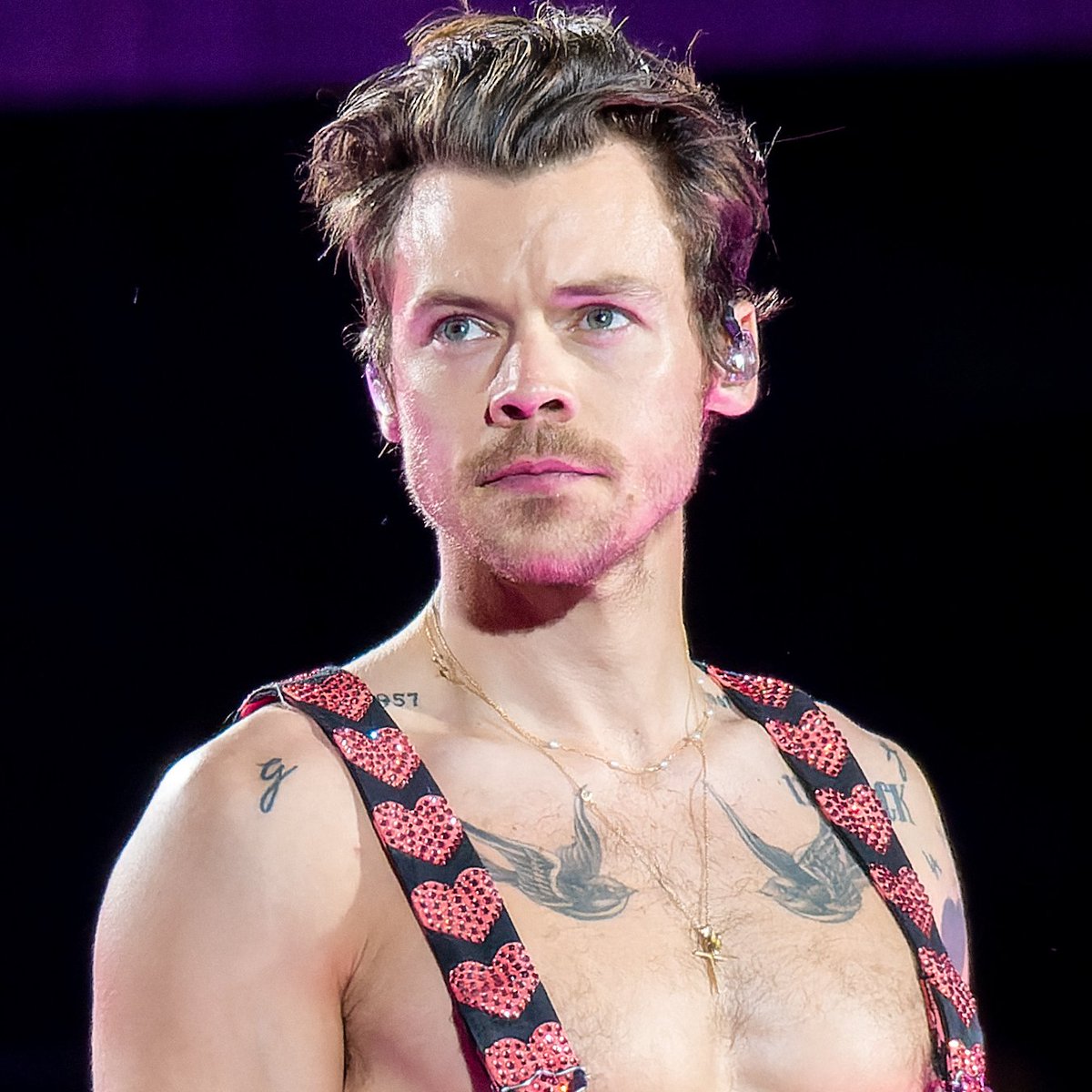 AcervoCharts's tweet photo. Harry Styles fará um show no Brasil em um festival, afirma insider. https://t.co/nVG0usIY0N