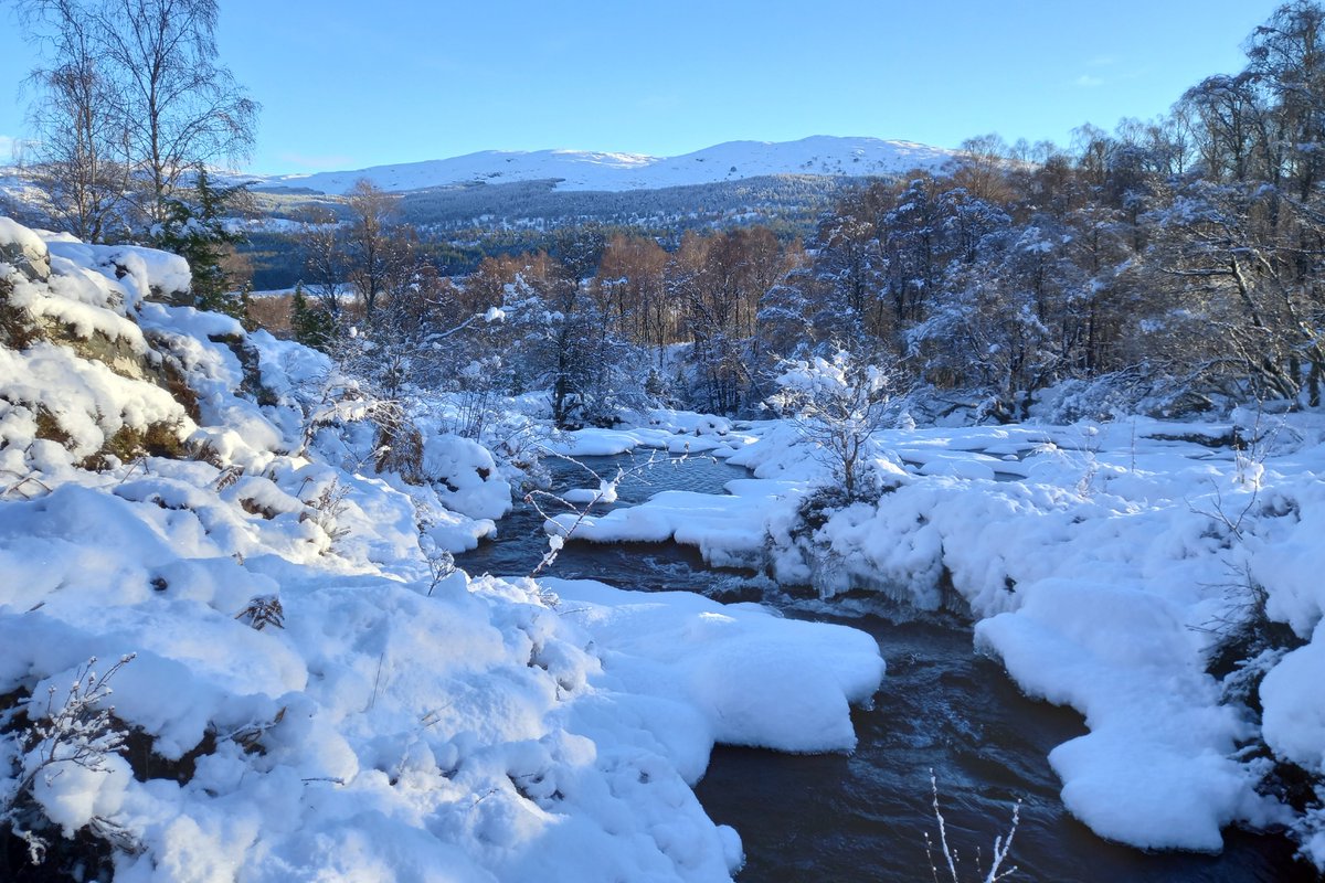 Your support helps bring rewilding to life! 🌿

Donations directly contribute to our diverse projects, helping nurture and expand #forests, return missing #animals, and connect people with nature.

Your support makes a real #difference 👉 treesforlife.org.uk/donate/

Thank you💛