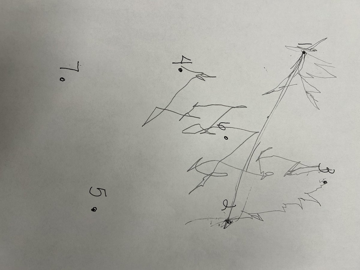 The upside down challenge game. How hard can it be to get from point 3 to 4. HARD! And now I need a dramamine! #relationshipsmatter #dizzydizzydizzy