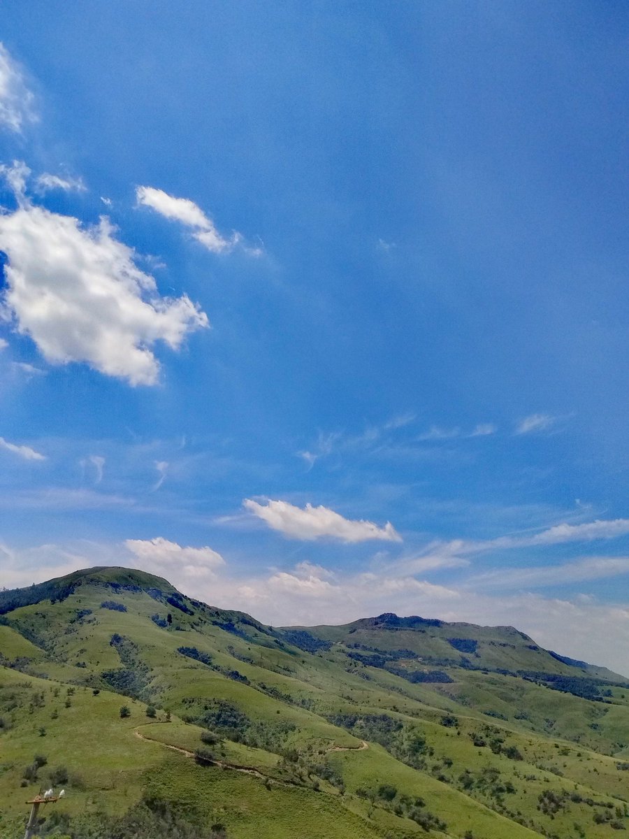 BearHardy89's tweet image. #BearItAll.