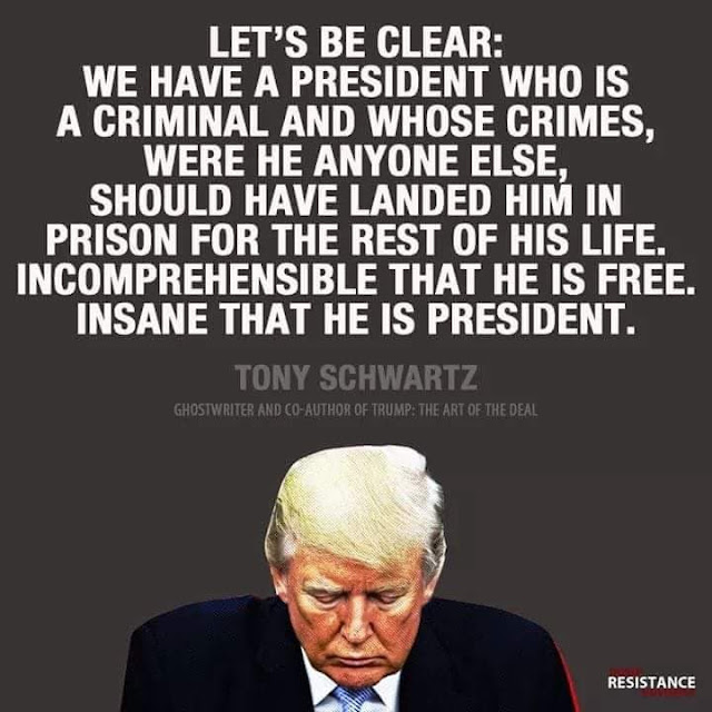 Are there two different rules of law in our country? One for the rich and privileged and another one for everyone else?

                                                  Yes or No