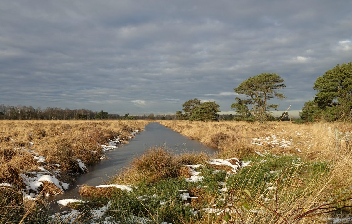 Vroeger werd mij verteld dat sneeuw die lang blijft liggen wacht op nieuwe. Nou, laat maar komen dan ;)