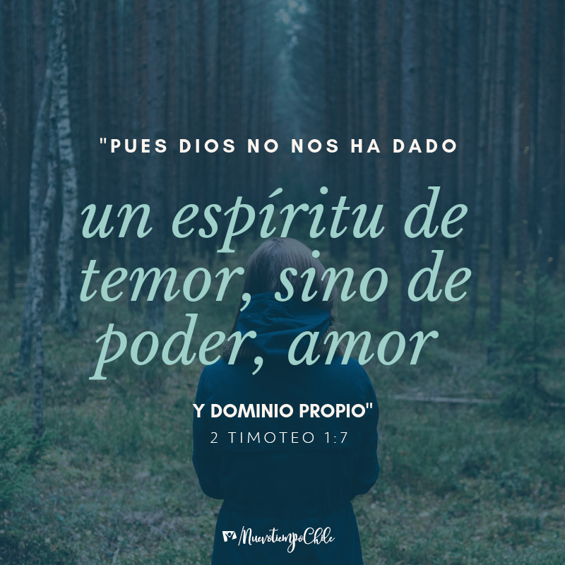 ntchile's tweet photo. 🌻En lugar de dejarte vencer por el miedo, puedes levantar la cabeza y actuar con valentía, dejándote guiar por el amor de Dios, que te invita a ser mejor, incluso en los momentos difíciles.😊

#RPSP #PrimeroDios #2TImoteo1

🎧  Escucha este RPSP https://t.co/CdvRzMNPgZ https://t.co/HvWPDOv38G