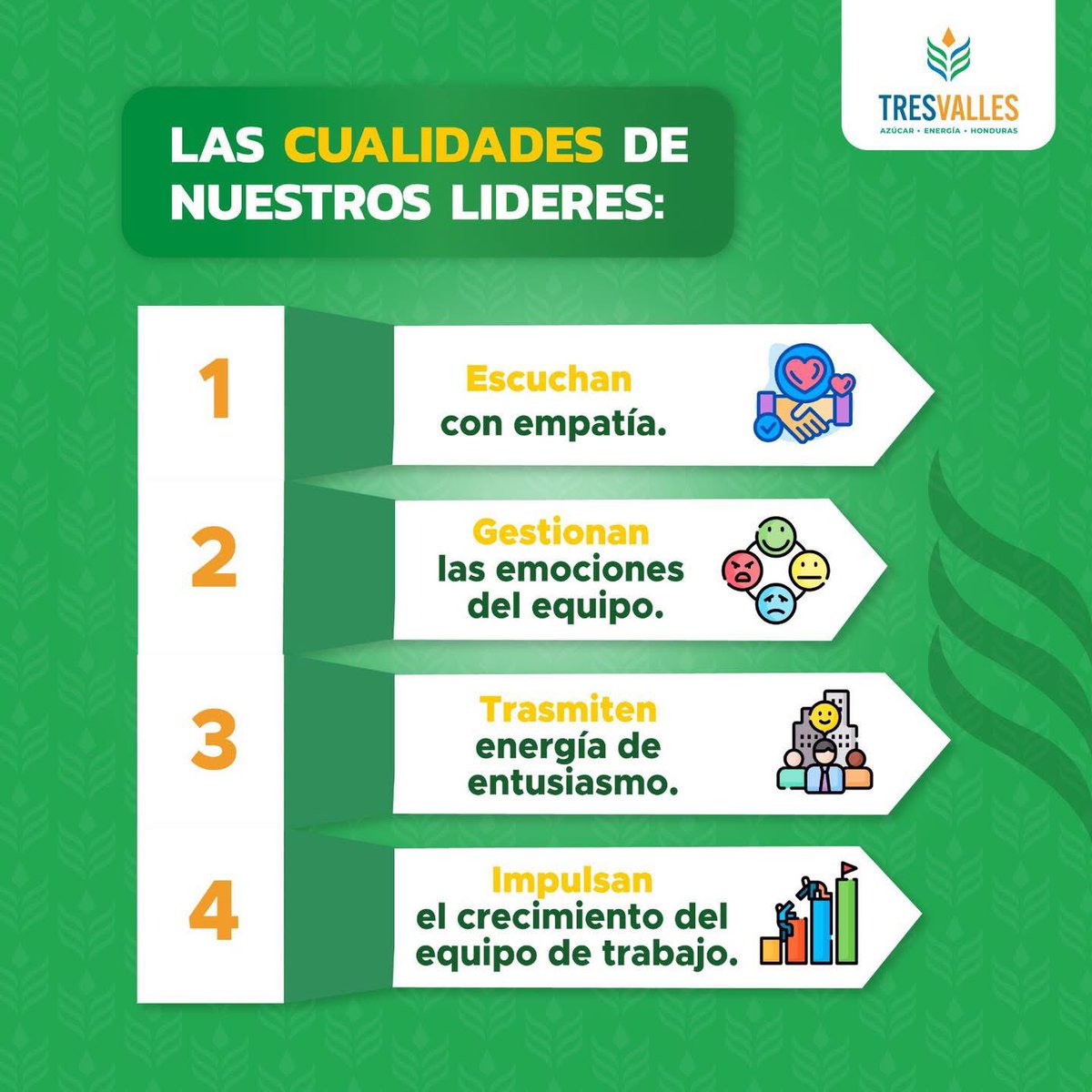 ✅🚛 Estas son algunas de las cualidades de nuestros líderes que dirigen nuestra visión corporativa:
