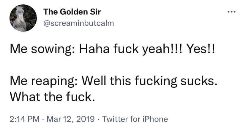 Brad Stieber tweet media