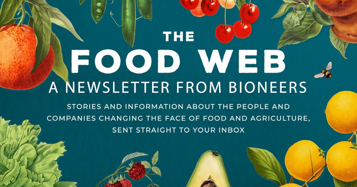 Our Food Web newsletter explores transformed food systems as a source of community wealth, health &amp; creative culture. We celebrate all people of the food web – young Black farmers, Indigenous Food Sovereignty leaders, ranchers, chefs, &amp; more! 🥦 Sign up: buff.ly/4cJxz2E