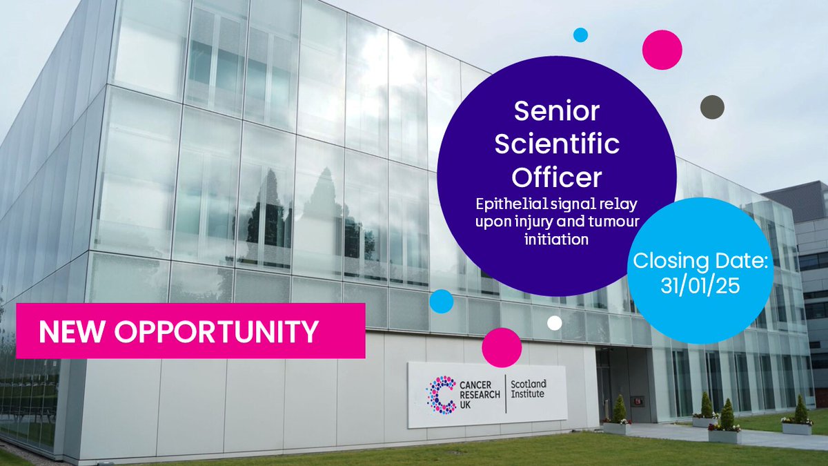 CRUK Scotland Inst (@cruk_si) on Twitter photo We are recruiting for a Senior Scientific Officer to work with <a href="/npentinmikko/">Nalle Pentinmikko</a> in <a href="/owen_sansom/">Owen Sansom 🏳️🌈</a>'s lab investigating cell interactions during tumour initiation and regeneration
📅Closing date: 31 January 2025
🔗Find out more and apply here: crukscotlandinstitute.ac.uk/careers/scient… We are recruiting for a Senior Scientific Officer to work with <a href="/npentinmikko/">Nalle Pentinmikko</a> in <a href="/owen_sansom/">Owen Sansom 🏳️🌈</a>'s lab investigating cell interactions during tumour initiation and regeneration
📅Closing date: 31 January 2025
🔗Find out more and apply here: crukscotlandinstitute.ac.uk/careers/scient…