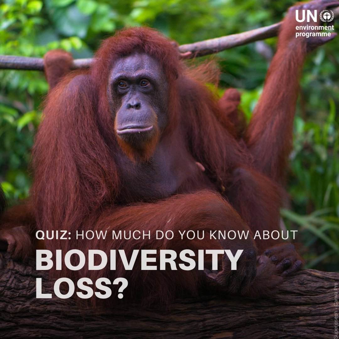 Biodiversity is in crisis. Land degradation is accelerating, but the world has a bold plan: the Global Biodiversity Framework.

How much do you know about biodiversity loss? Take the quiz &amp; test your knowledge: unep.org/news-and-stori…